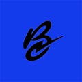 Blitz Direct-logo